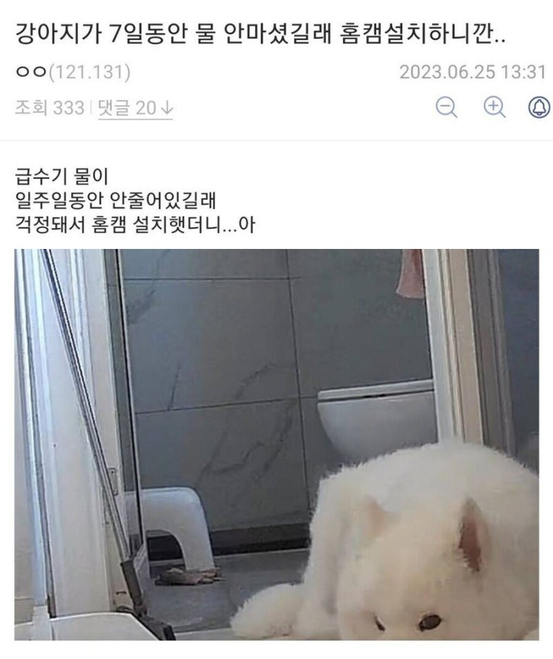 급수기-물이-줄지-않아-홈캠을-설치했더니.jpg-1-이미지