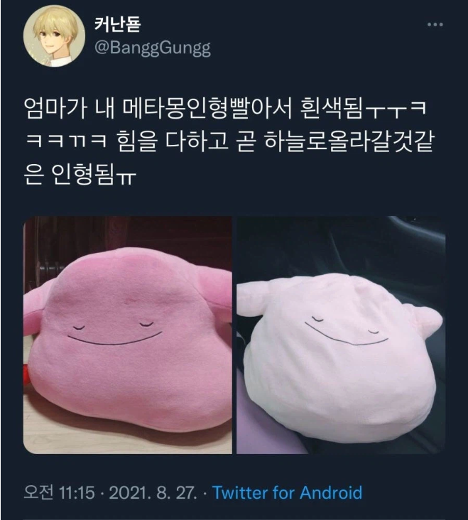 창백한-메타몽-0-이미지