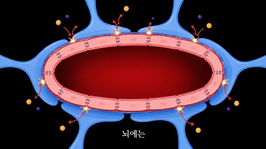 집안-곰팡이가-치매-유발한다는거-알았어?-19-이미지