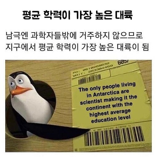 평균-학력이-가장-높은-대륙은-어디일까?-0-이미지