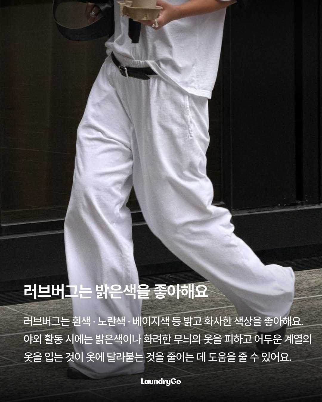 두근두근-러브버그의-취향-0-이미지