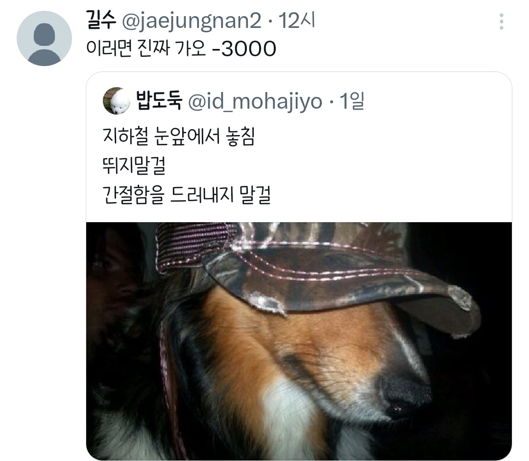 지하철-눈앞에서-놓침.twt-1-이미지