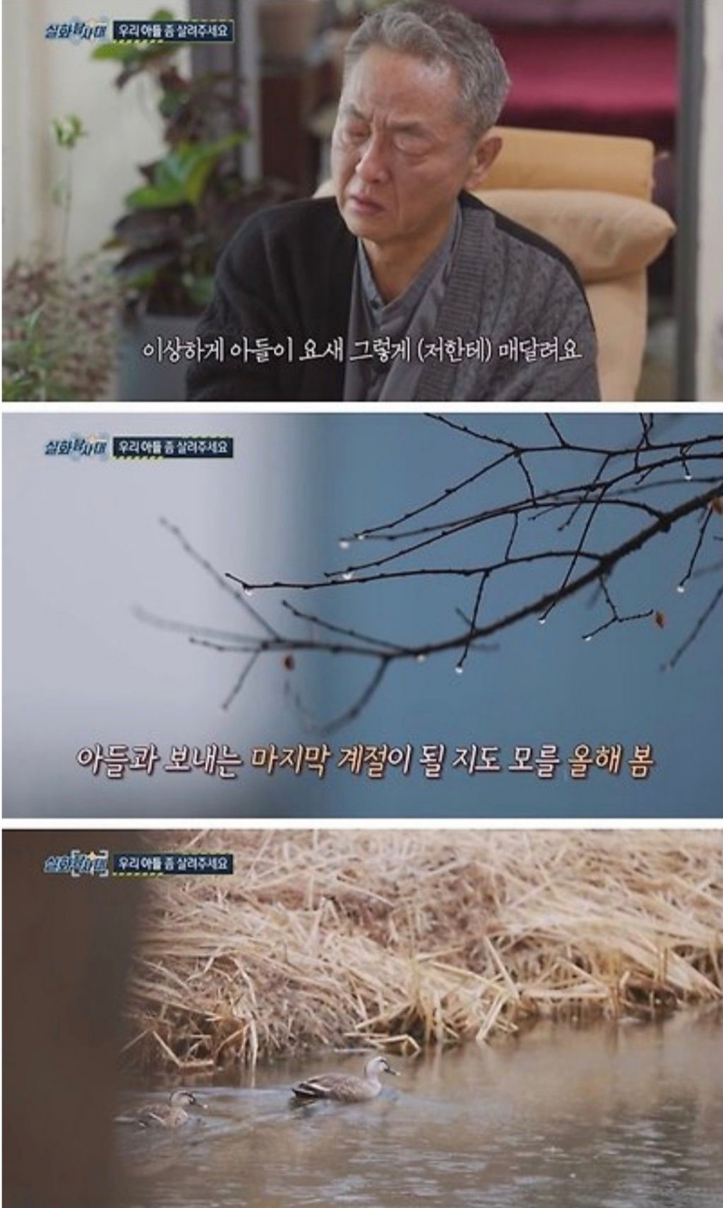 시한부-아버지와-피터팬-아들-30-이미지