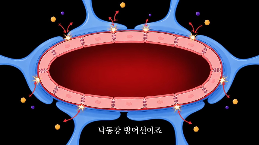 집안-곰팡이가-치매-유발한다는거-알았어?-22-이미지