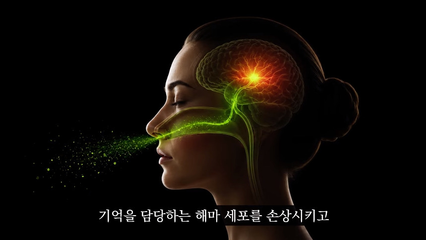 집안-곰팡이가-치매-유발한다는거-알았어?-58-이미지
