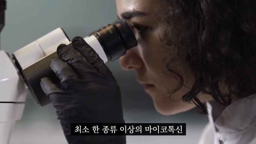 집안-곰팡이가-치매-유발한다는거-알았어?-52-이미지