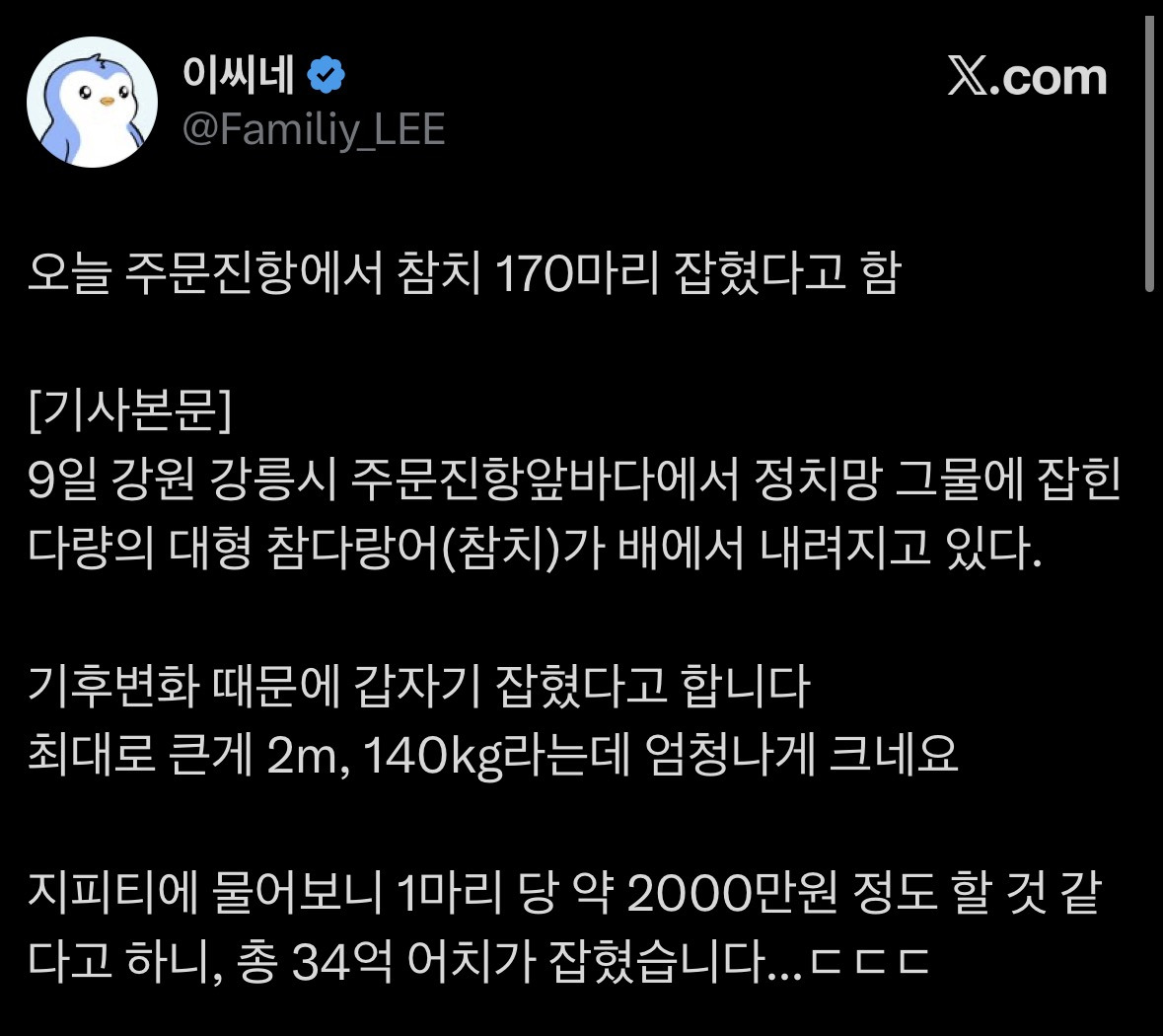 주문진항에서-잡힌-참치-170마리.jpg-1-이미지