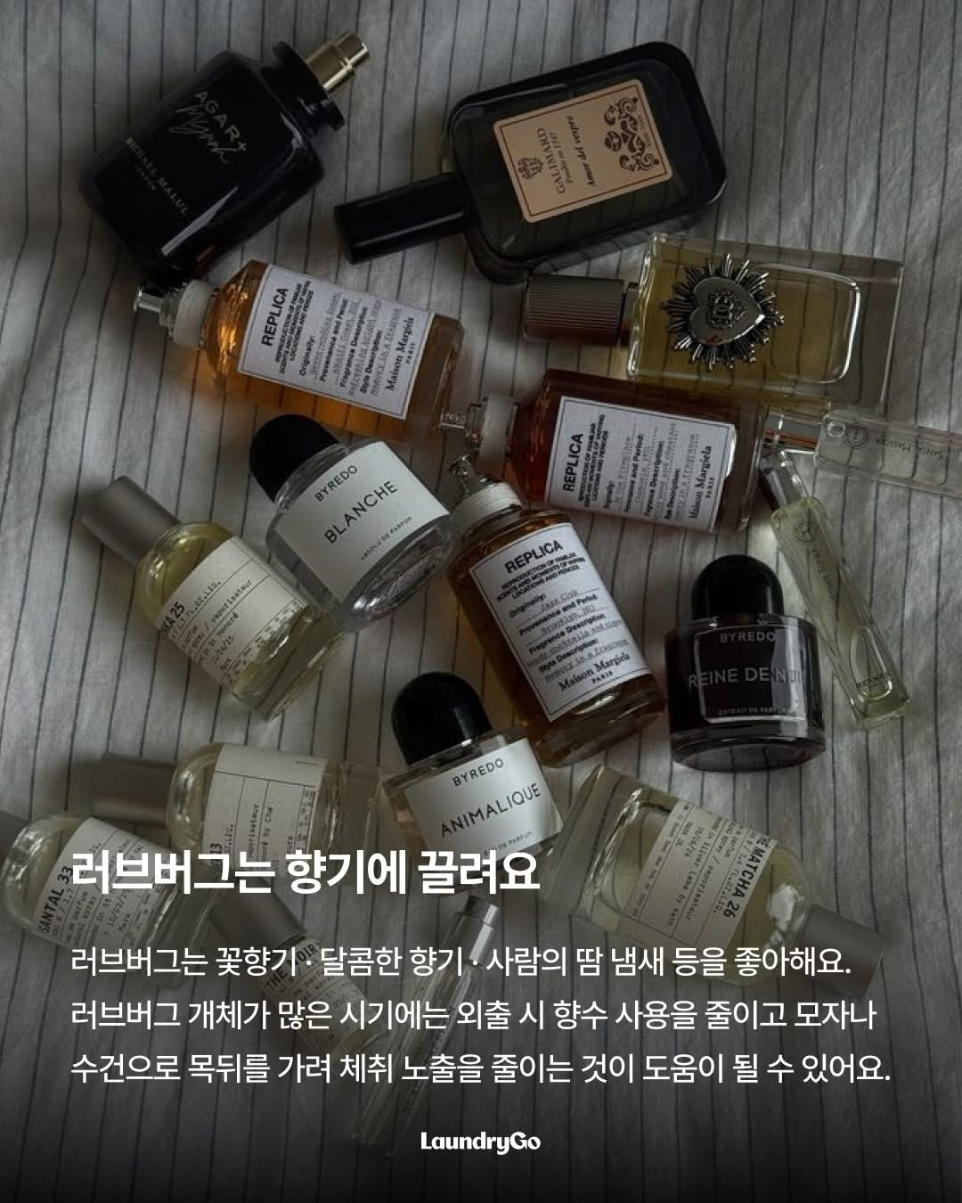 두근두근-러브버그의-취향-1-이미지