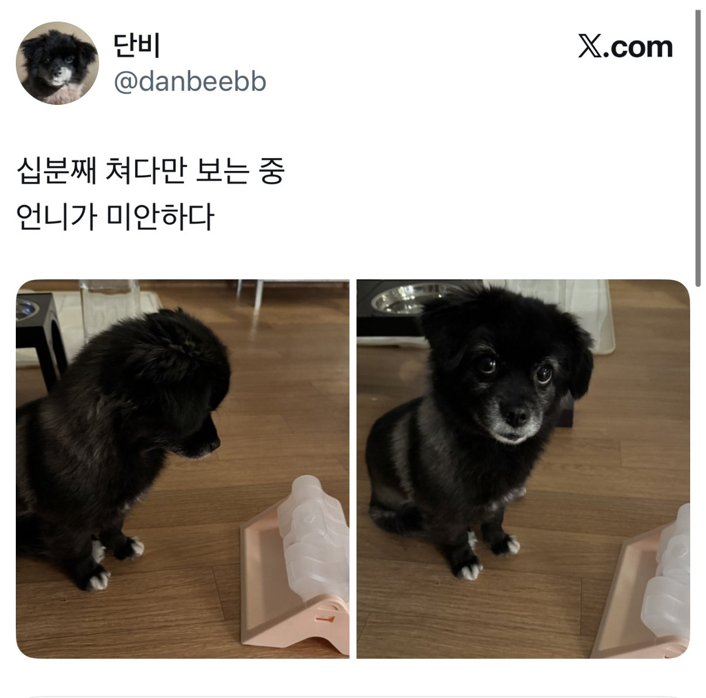 전혀-이해-못함-오늘도-다이소에-3천원-기부했다-1-이미지