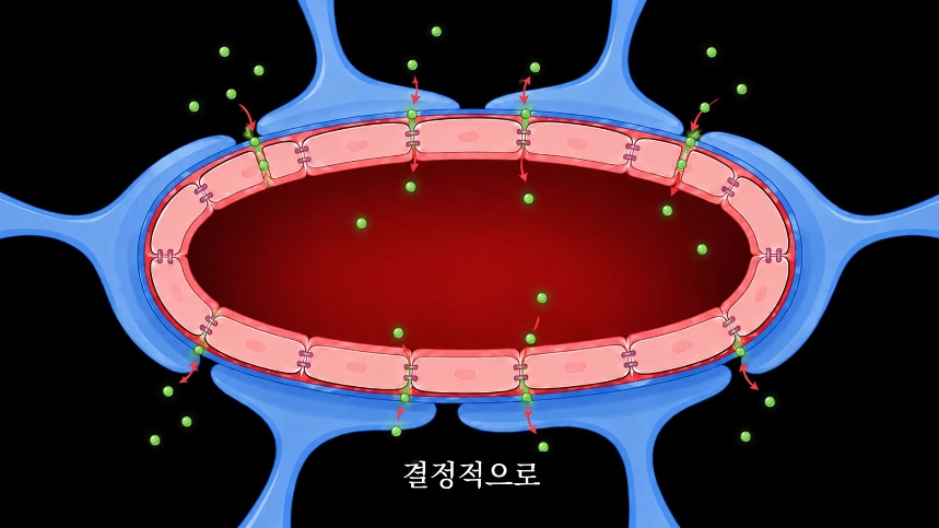 집안-곰팡이가-치매-유발한다는거-알았어?-45-이미지