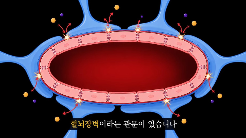 집안-곰팡이가-치매-유발한다는거-알았어?-20-이미지