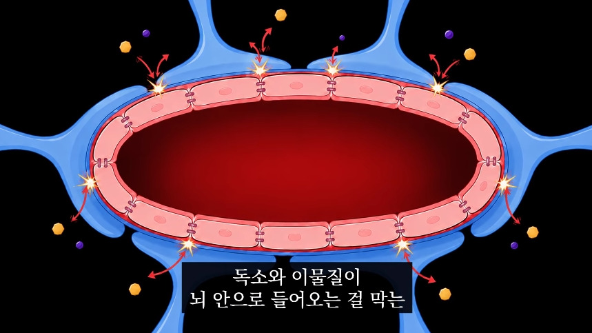 집안-곰팡이가-치매-유발한다는거-알았어?-21-이미지
