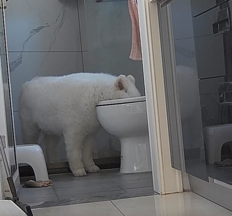 급수기-물이-줄지-않아-홈캠을-설치했더니.jpg-2-이미지