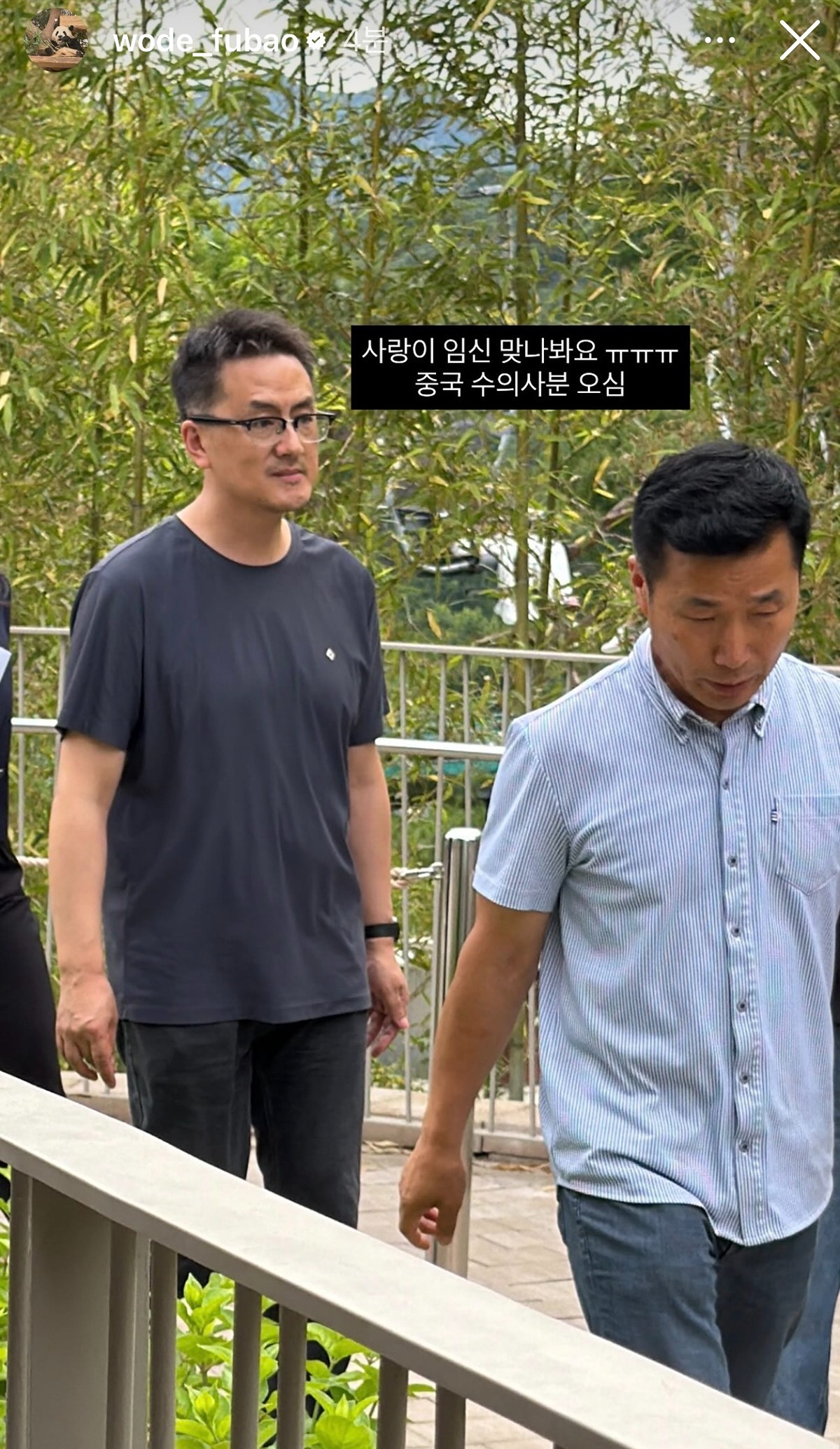 아이바오-임신이-맞나-봄!!-중국-수의사분-오셨다고-함-🐼♥️-0-이미지