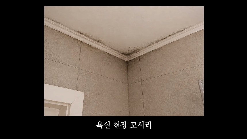 집안-곰팡이가-치매-유발한다는거-알았어?-32-이미지