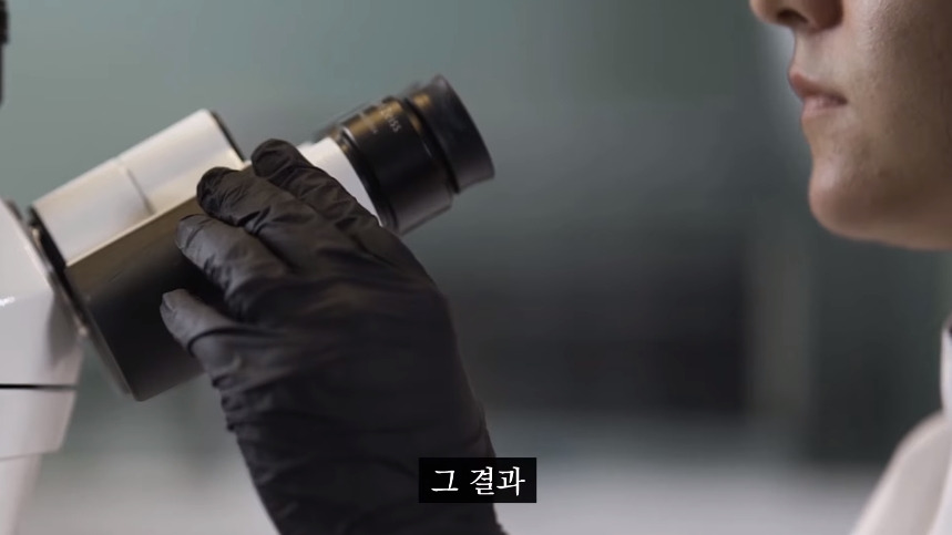 집안-곰팡이가-치매-유발한다는거-알았어?-50-이미지