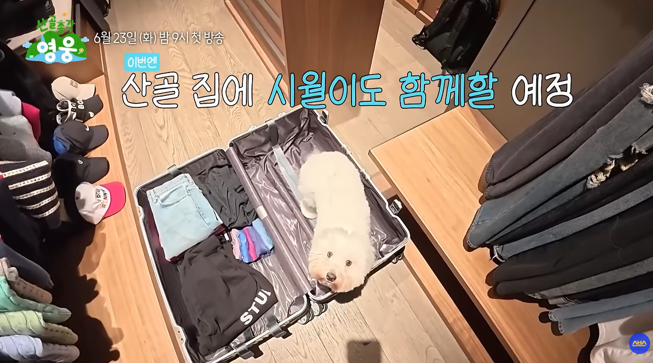 30대-남자들-옷장-특징.jpg-12-이미지