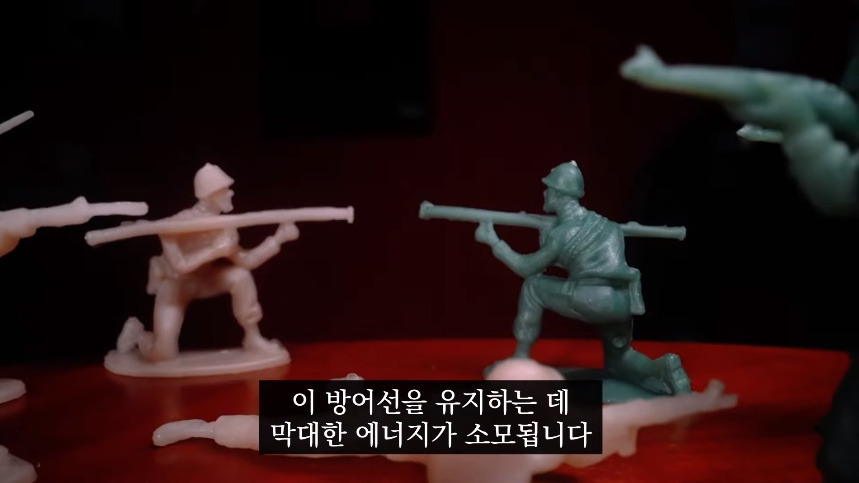 집안-곰팡이가-치매-유발한다는거-알았어?-24-이미지