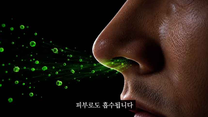집안-곰팡이가-치매-유발한다는거-알았어?-44-이미지