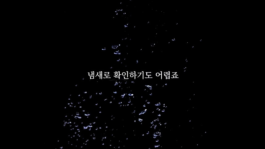 집안-곰팡이가-치매-유발한다는거-알았어?-41-이미지