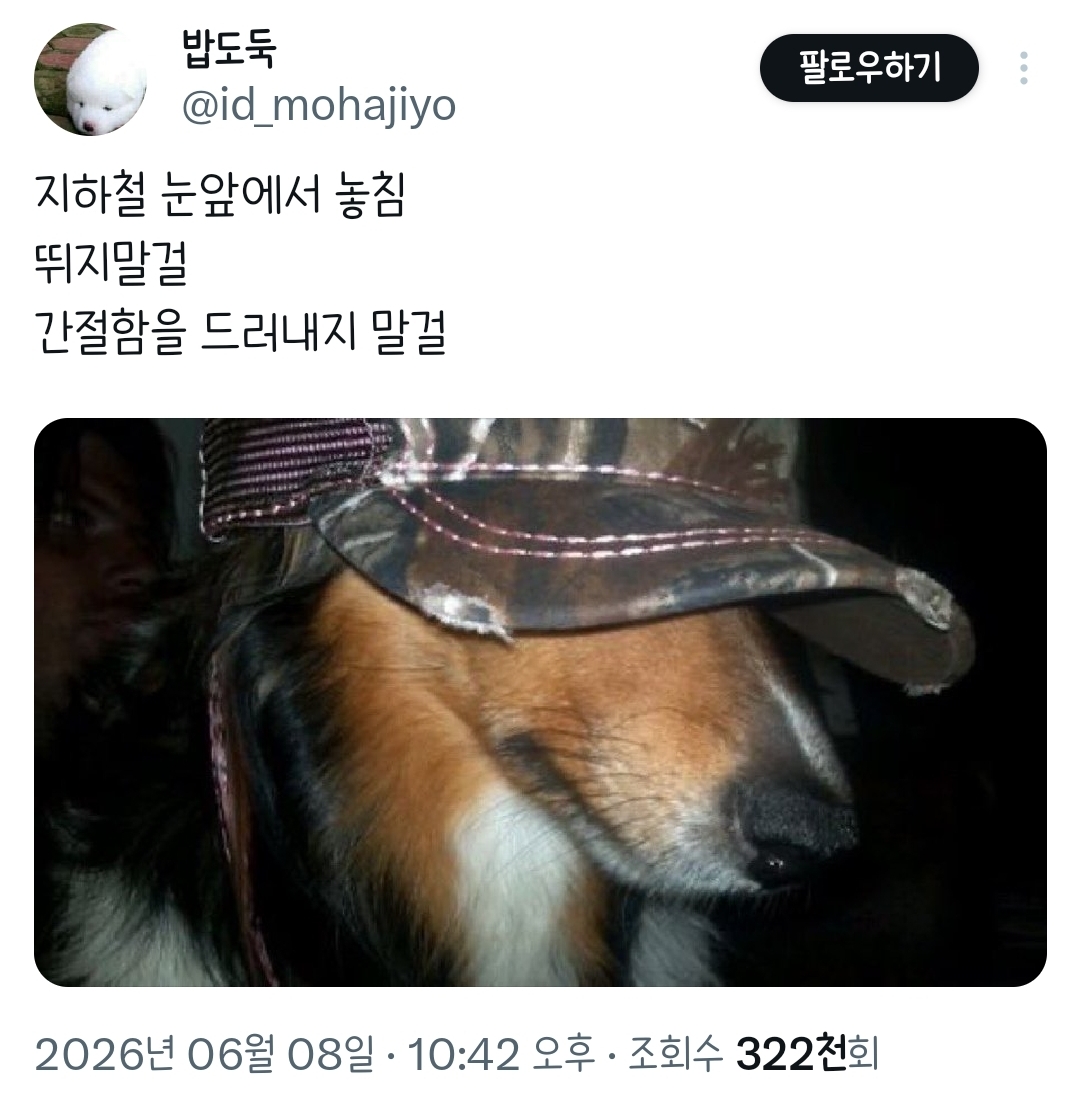 지하철-눈앞에서-놓침.twt-0-이미지